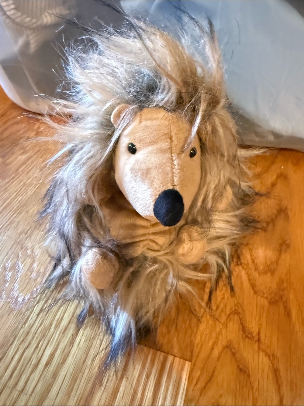 Didi Hedgehog